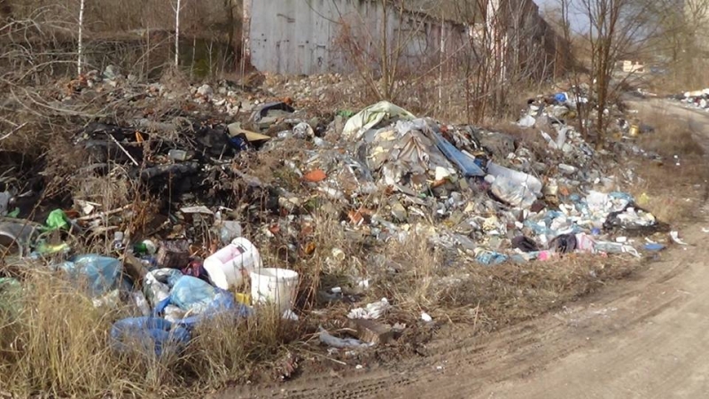Sypniewski: Zakażemy importu śmieci do Polski
