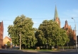 Plac Kościelecki zmieni swoje oblicze po wycince drzew