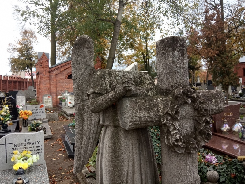 ProNatura interweniuje na cmentarzach