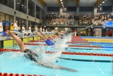 Rozpoczęły się pływackie Mistrzostwa Polski. Nad Brdę przyjechali olimpijczycy