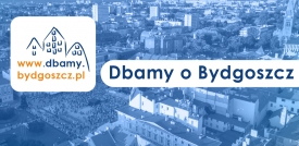 Ponad 10 tys. zgłoszeń w aplikacji Dbamy o Bydgoszcz w pierwszym roku