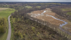 Powalone drzewa, wylewająca rzeka - to pozostałości po sierpniowych nawałnicach (wideo)