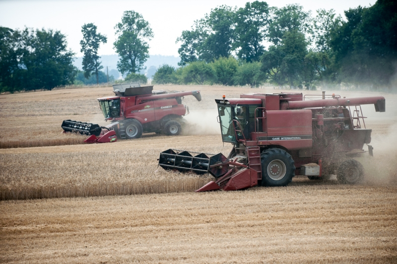 Rolnicy mogą wnioskować o rekompensaty strat poniesionych z powodu suszy i COVID-19