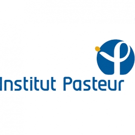 Instytut Pasteura: potrzebna odporność u 70 proc. populacji, by uniknąć II fali epidemii