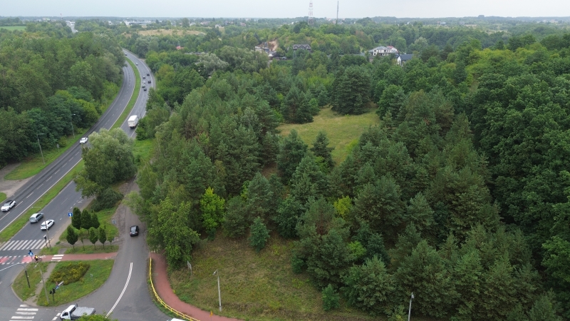 Zamczysko, czyli gród na kilkaset lat zanim Bydgoszcz zyskała prawa miejskie