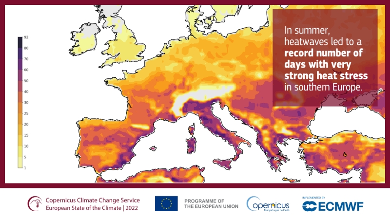 Rok 2022 był ekstremalny pod względem temperatur w Europie – niepokojący raport