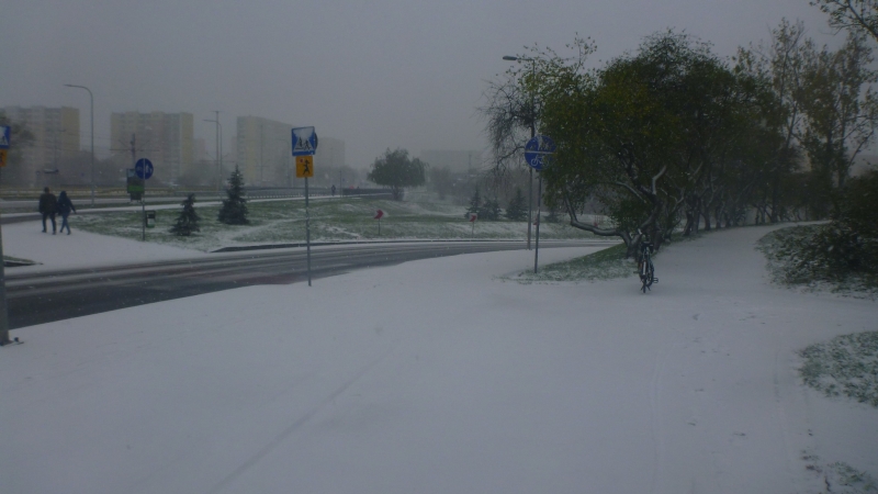 Pierwszy śnieg zakorkował w sobotę Bydgoszcz