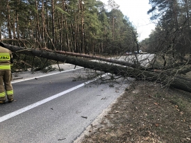 Orkan Eunice blokował drogi dojazdowe do Bydgoszczy